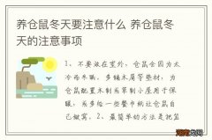 养仓鼠冬天要注意什么 养仓鼠冬天的注意事项