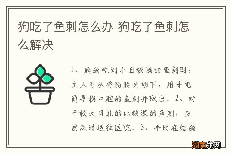 狗吃了鱼刺怎么办 狗吃了鱼刺怎么解决