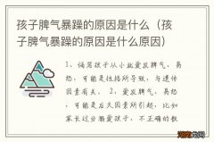 孩子脾气暴躁的原因是什么原因 孩子脾气暴躁的原因是什么