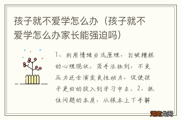 孩子就不爱学怎么办家长能强迫吗 孩子就不爱学怎么办