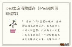iPad如何清理缓存 ipad怎么清除缓存