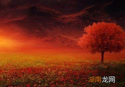 古代女子丈夫死后只能守寡吗 贞洁牌坊又是什么时候出现的