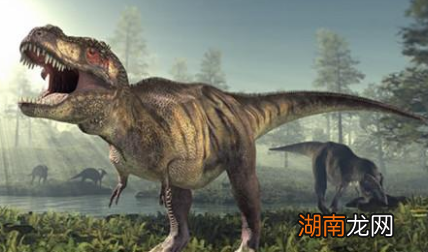 恐龙真的全部灭绝了吗？海洋中是否存活着恐龙？