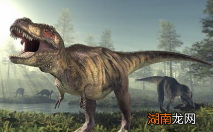 人类始祖真的是恐龙吗?恐龙人是怎么么进化而来的?