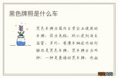 黑色牌照是什么车
