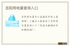 岳阳用电量查询入口