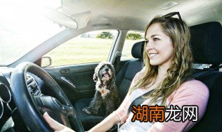 高速双虚线白线什么意思 关于高速双虚线白线作用介绍