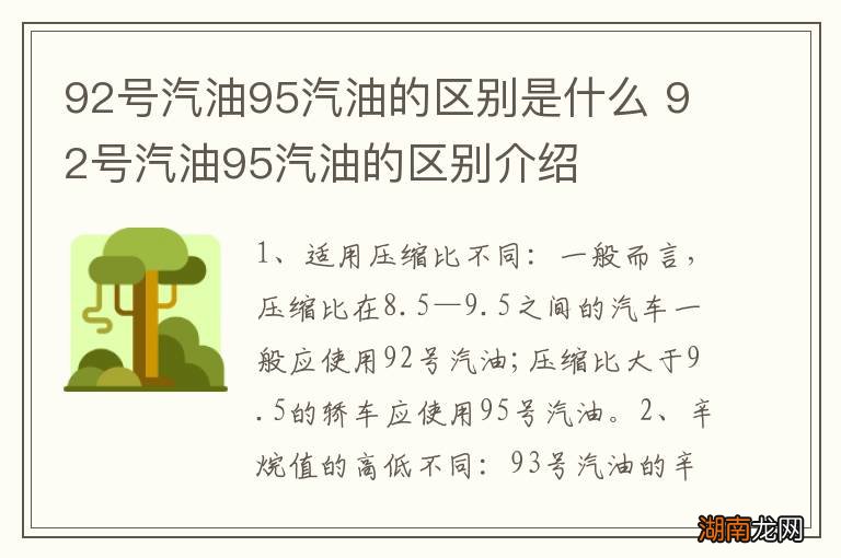 92号汽油95汽油的区别是什么 92号汽油95汽油的区别介绍
