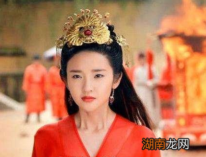 刘裕攻打下后秦之后 刘裕最后为什么会放弃北伐