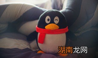 最新版qq怎么取消定时说说,最新版qq怎么取消定时说说2020