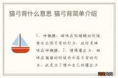 猫弓背什么意思 猫弓背简单介绍