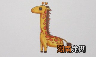 长颈鹿怎么画 长颈鹿简笔画教程