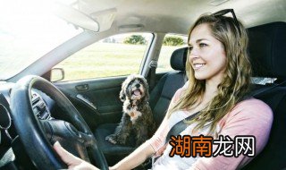 汽车虫胶去除小窍门 教你汽车虫胶去除小窍门