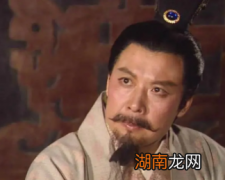 刘备一辈子打了十多场仗，没有一次带着诸葛亮吗？