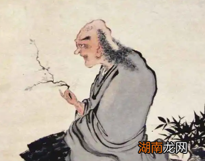 扬州八怪之首,揭秘金农的生平趣事