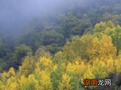 古代的瘴气到底是什么东西 这个东西为什么北方没有