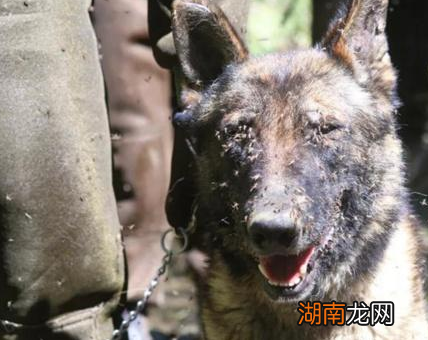 古代的瘴气到底是什么东西 这个东西为什么北方没有