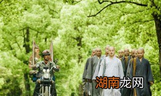 失孤原型 失孤原型的简介