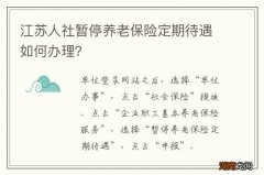 江苏人社暂停养老保险定期待遇如何办理？