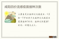 咸阳四价流感疫苗接种次数