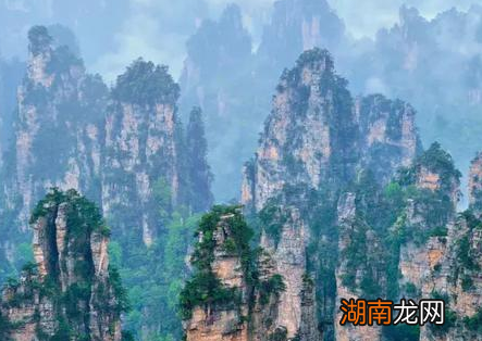 瘴气自秦代以来就多次出现在史书中 所谓的瘴气到底是什么