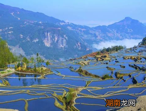 瘴气自秦代以来就多次出现在史书中 所谓的瘴气到底是什么