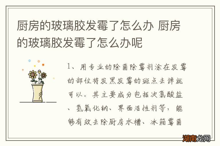 厨房的玻璃胶发霉了怎么办 厨房的玻璃胶发霉了怎么办呢