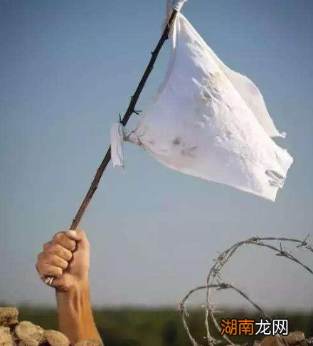 举白旗是如何成为投降的标志的?为什么是白旗?