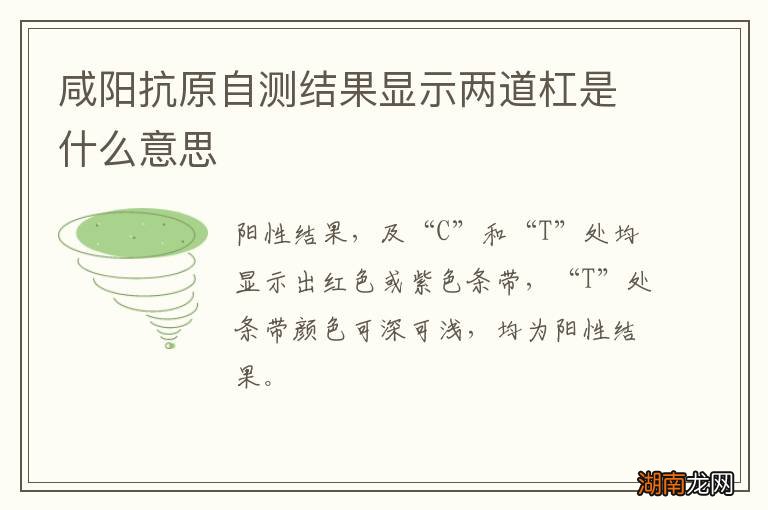 咸阳抗原自测结果显示两道杠是什么意思