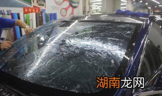 龙膜是什么 龙膜简介