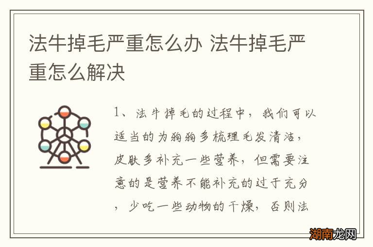 法牛掉毛严重怎么办 法牛掉毛严重怎么解决