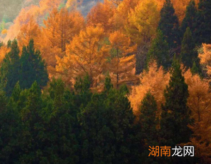 古代处决犯人为什么选择在秋天 难怪连皇帝都不敢轻易更改