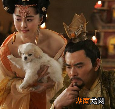 杨贵妃给安禄山一个大男人洗澡 唐玄宗为什么一点也不担心