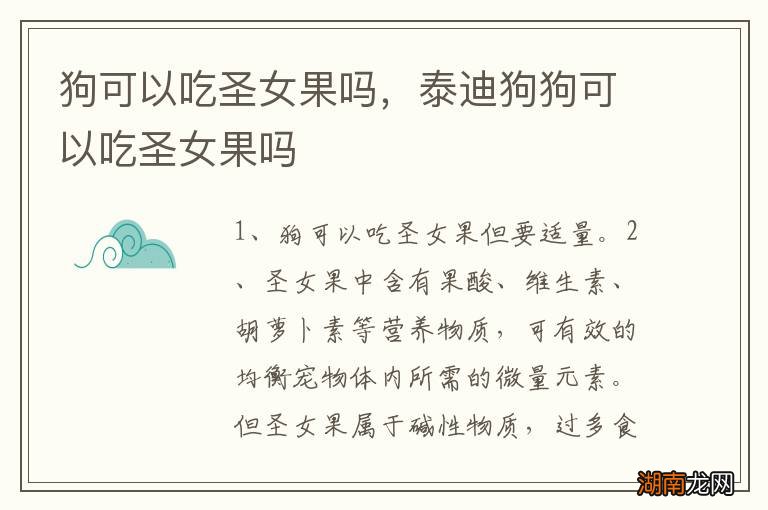 狗可以吃圣女果吗,泰迪狗狗可以吃圣女果吗
