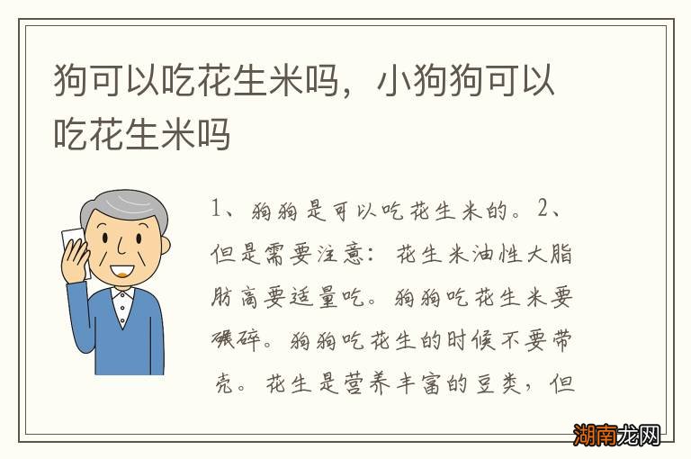 狗可以吃花生米吗,小狗狗可以吃花生米吗