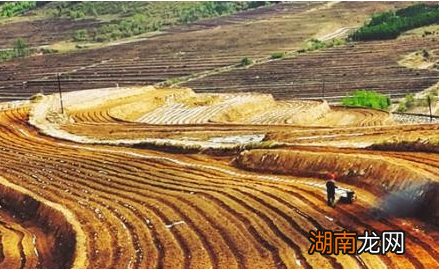 清朝因为土豆和玉米才出现人口爆炸的吗 其实也是有多方面的原因存在