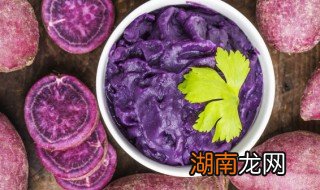 狗可以吃紫薯吗 狗不能吃紫薯吗