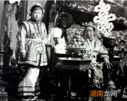 慈禧六十大寿想要放鸟积德，结果鸟儿们都不飞