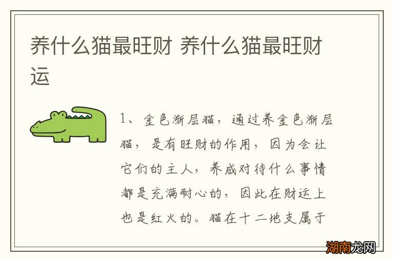 养什么猫最旺财 养什么猫最旺财运