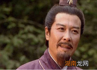 费祎之死背后元凶是姜维？为什么这样说呢