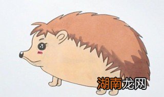 刺猬怎么画 刺猬简笔画教程