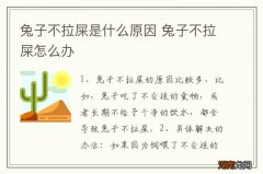 兔子不拉屎是什么原因 兔子不拉屎怎么办
