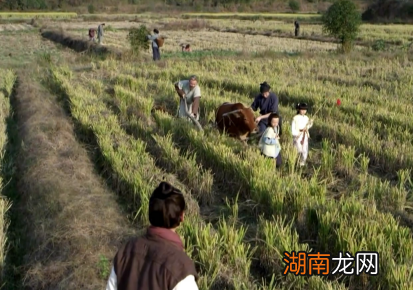 秦国以军功赏赐田地 土地不够分的问题又是怎么解决的