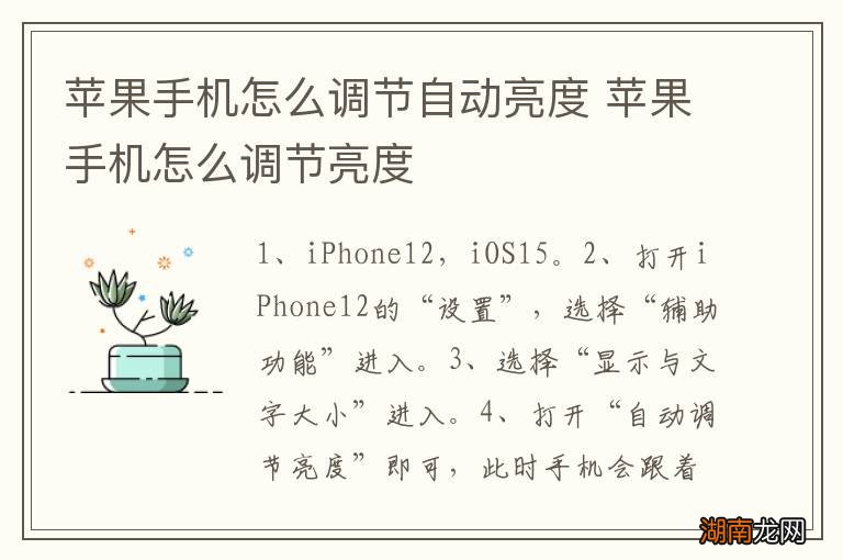 苹果手机怎么调节自动亮度 苹果手机怎么调节亮度