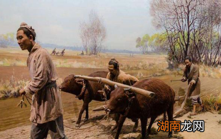 古代地广人稀粮食又不够吃 古人为什么不去开荒