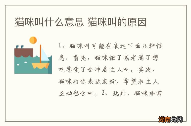 猫咪叫什么意思 猫咪叫的原因