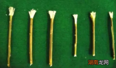 古人会刷牙吗？古代人用什么刷牙呢？