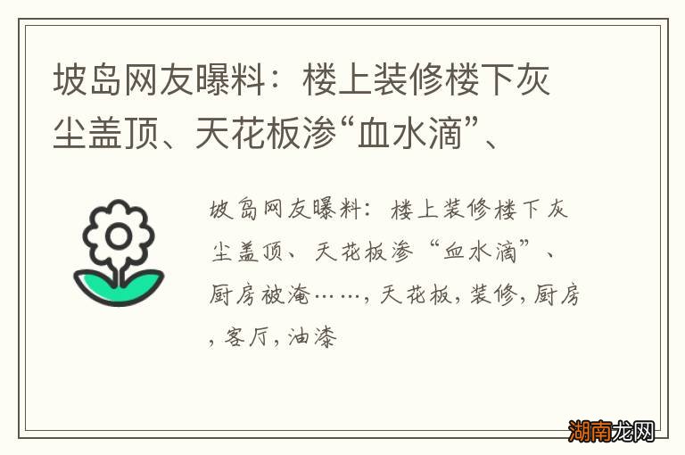 坡岛网友曝料：楼上装修楼下灰尘盖顶、天花板渗“血水滴”、厨房被淹……