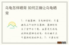 乌龟怎样晒背 如何正确让乌龟晒背