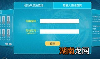 怎么查询违章记录 查询违章记录的方法
